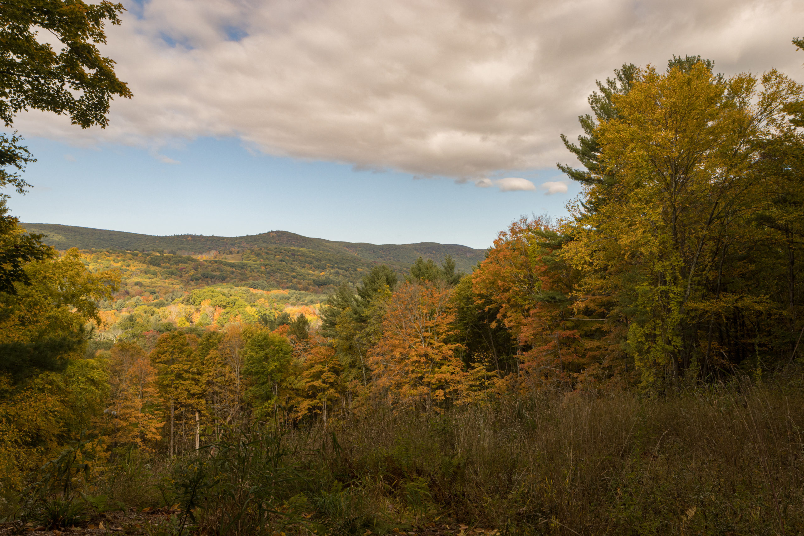 16, Hiking Trails & Preserves – Pope-5678