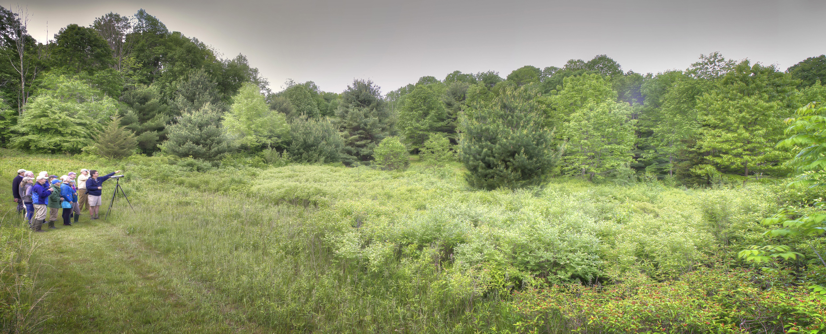 Schlesinger Bird Preserve