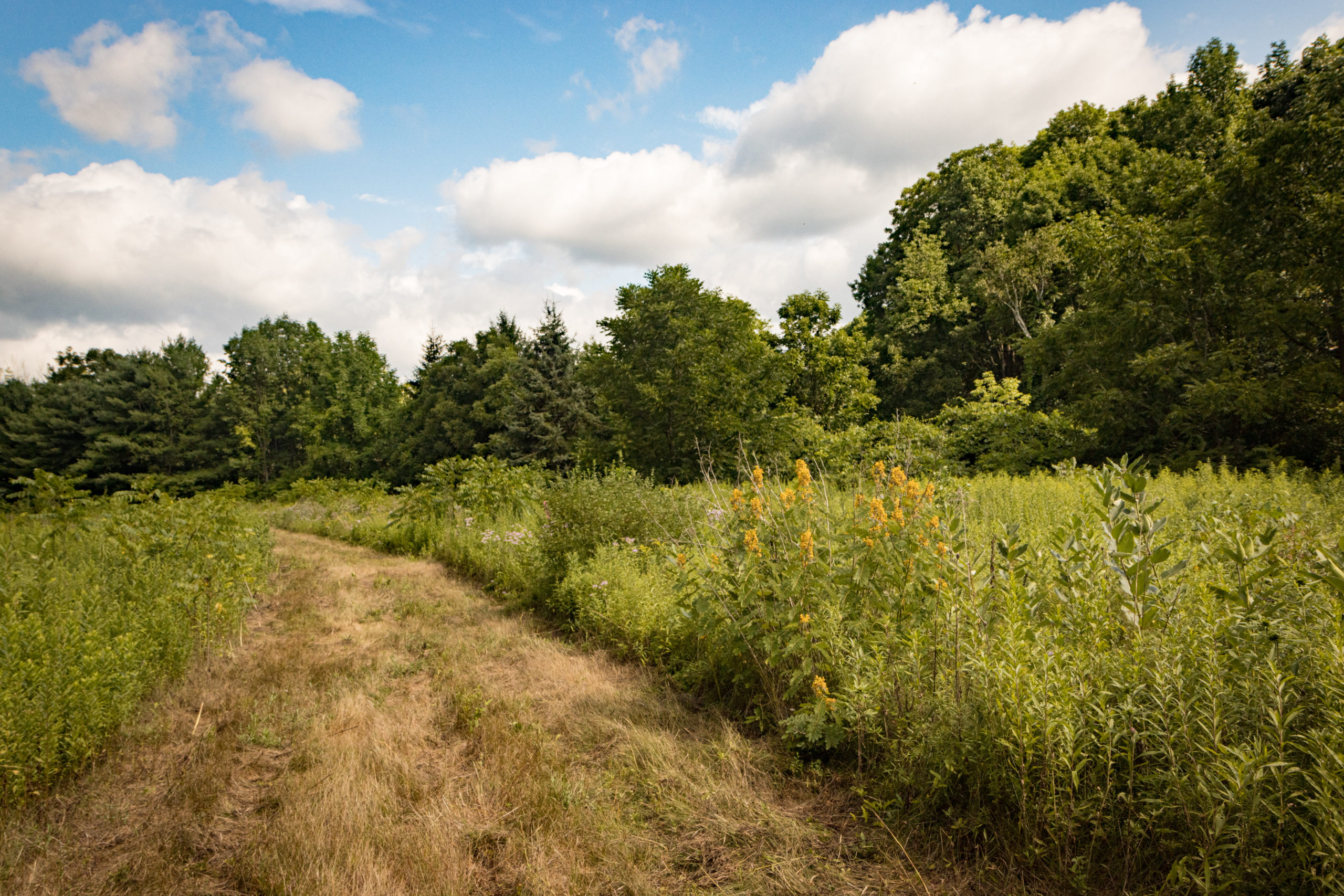Donate, Parcel of Land Donate, Parcel of Land