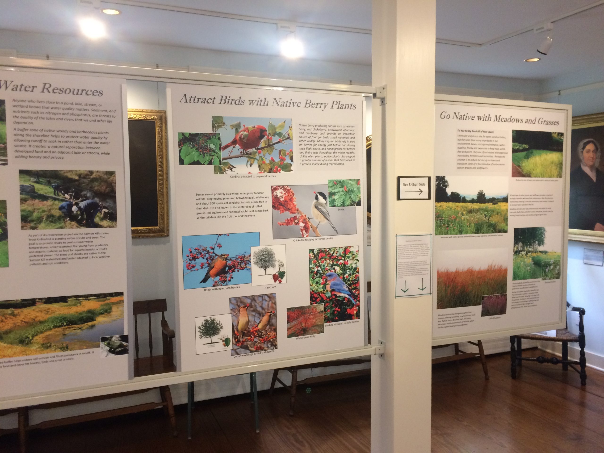 23b, Go Native, LT – Exhibit (2)