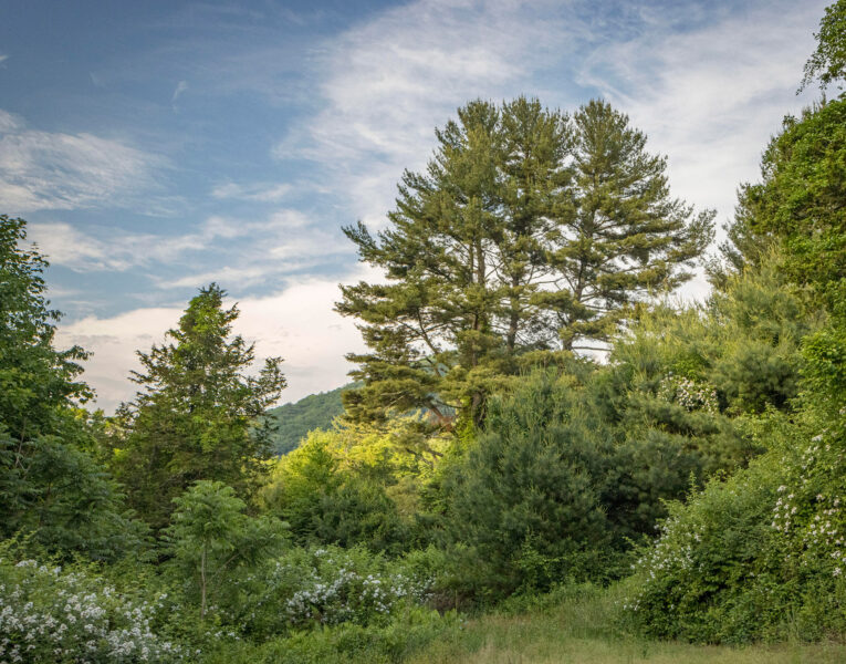 Belter-Lime-Rock-photo-sm