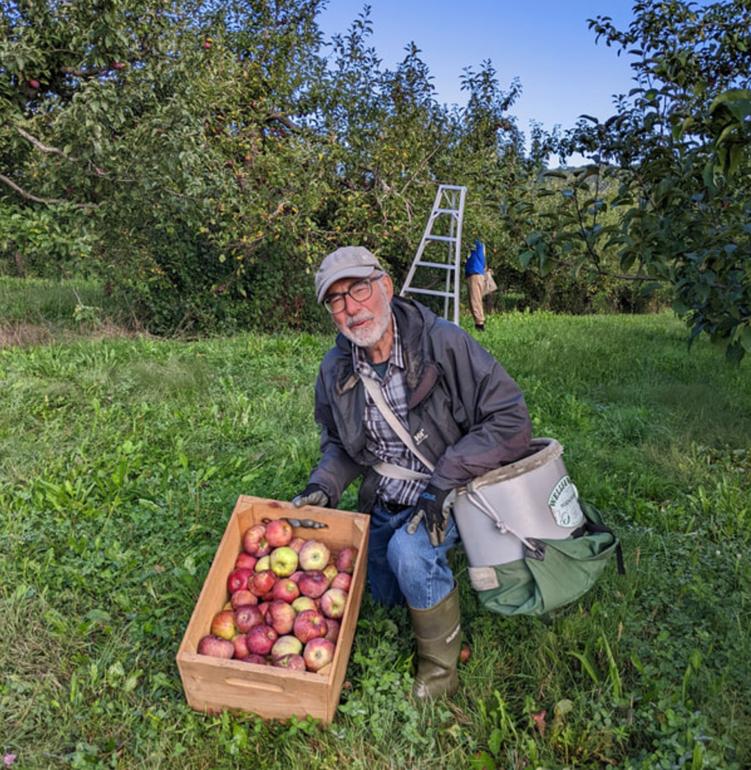 Ron Bixby Heirloom Apple