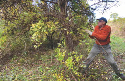 Heros and Villains i backyard