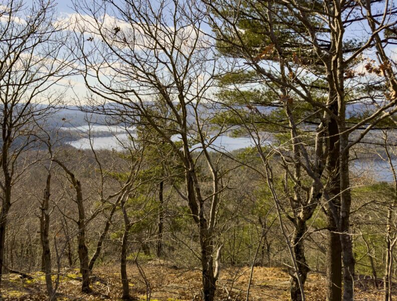 Tom’s Hill View